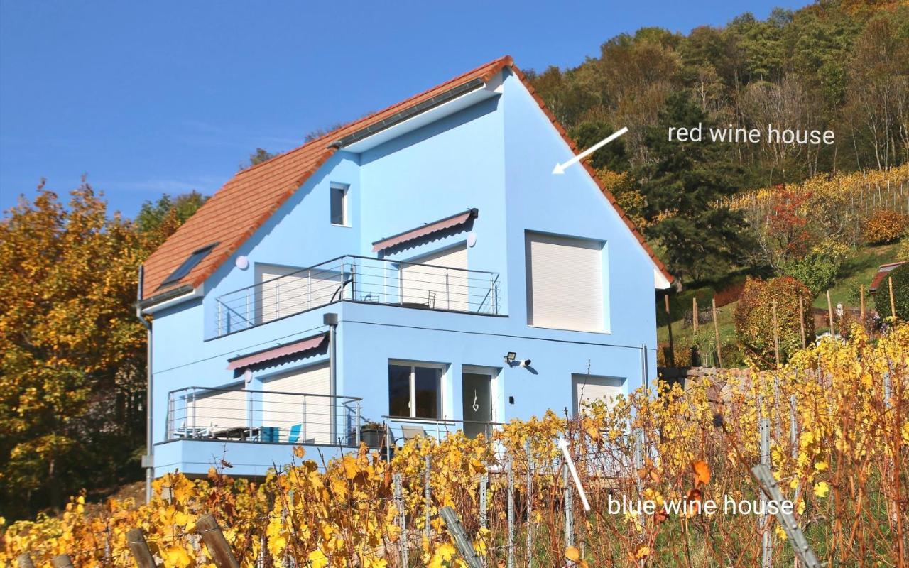 Janea Big Blue House Διαμέρισμα Reichsfeld Εξωτερικό φωτογραφία