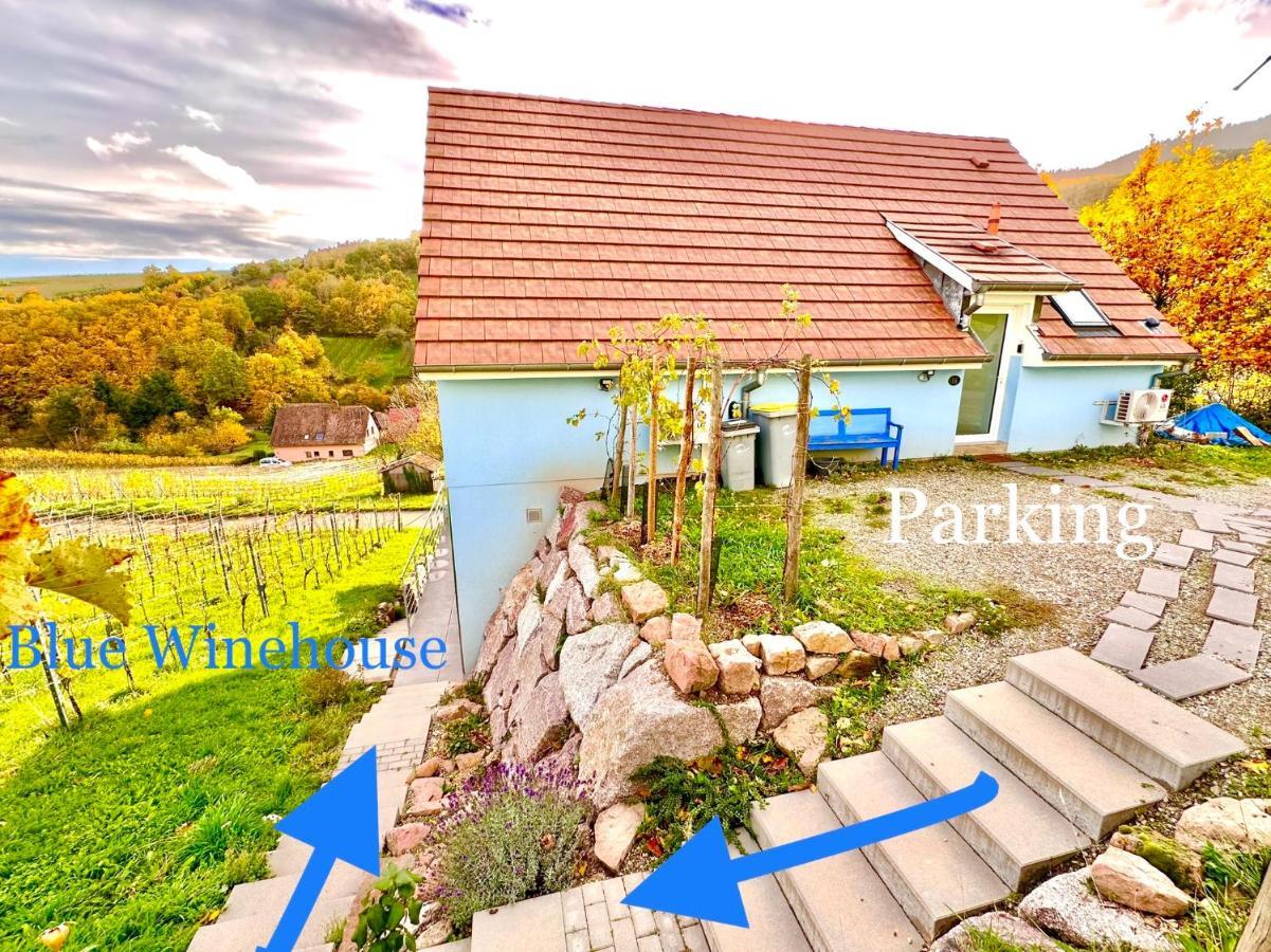 Janea Big Blue House Διαμέρισμα Reichsfeld Εξωτερικό φωτογραφία