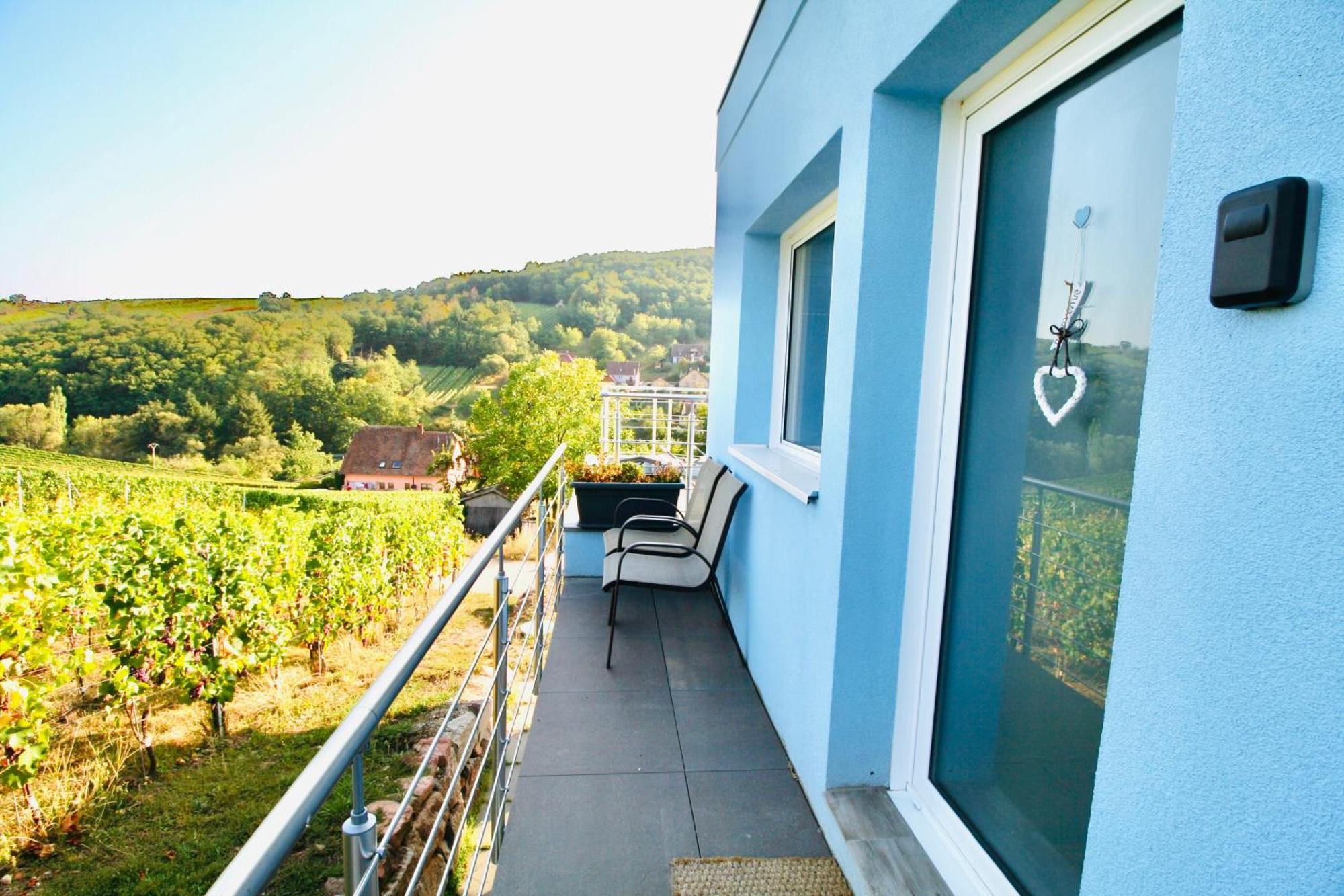 Janea Big Blue House Διαμέρισμα Reichsfeld Εξωτερικό φωτογραφία