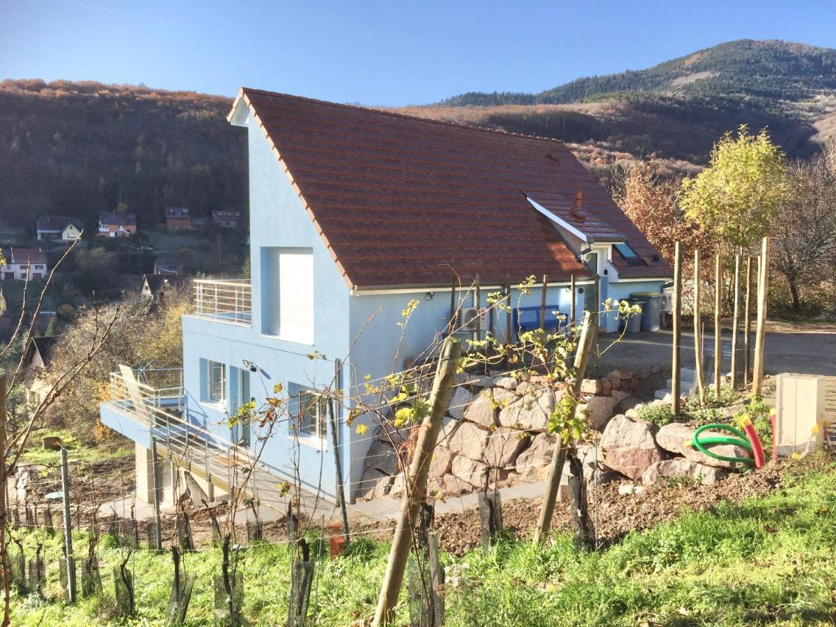 Janea Big Blue House Διαμέρισμα Reichsfeld Εξωτερικό φωτογραφία